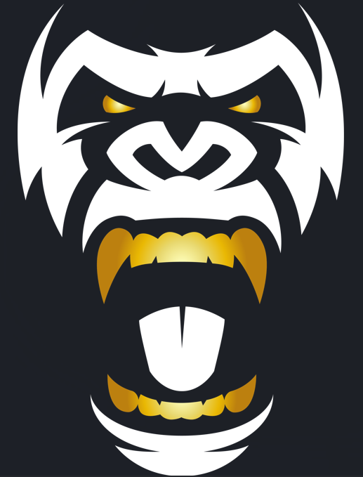 Rilla Sports